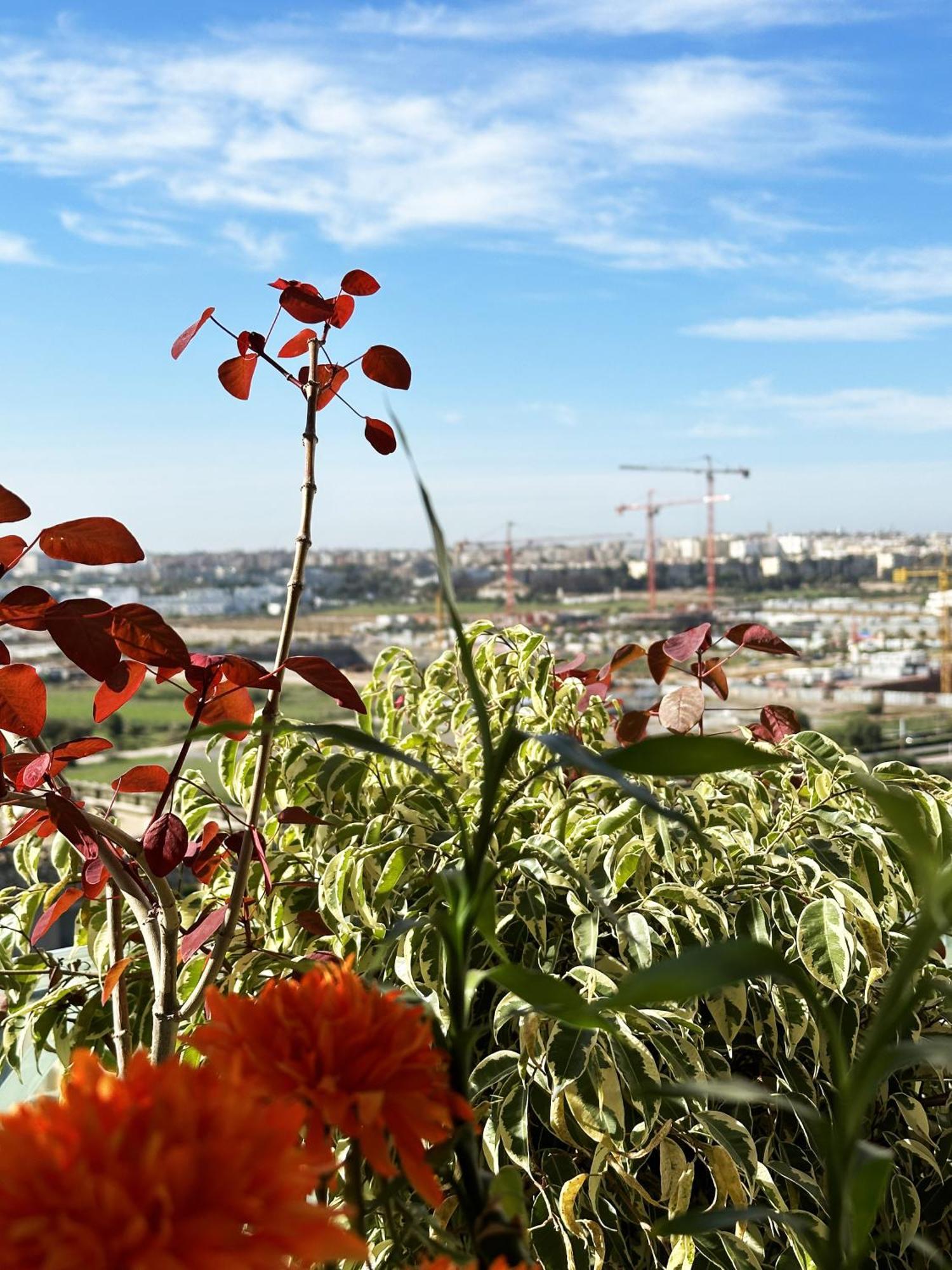 Apartmán Anfa Louise Casablanca Exteriér fotografie